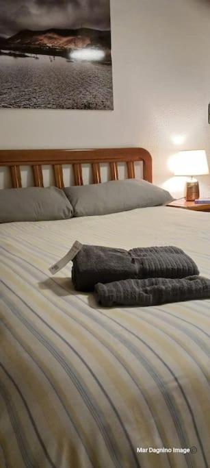 Apartamento Turistico Saragosse Extérieur photo